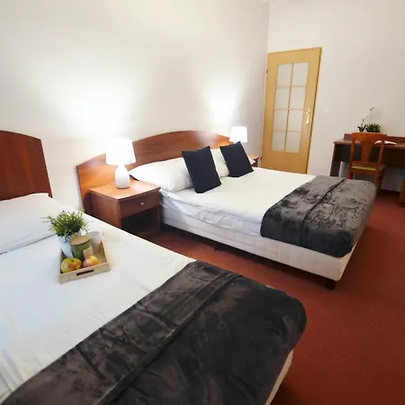 P&j Florianska Apartment *